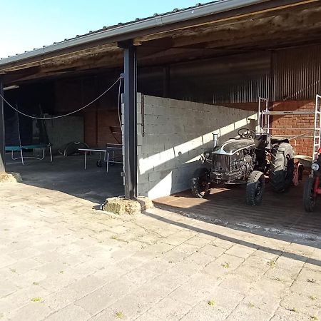 Natuur-Like Glamping In Bosland Pelt Exterior photo