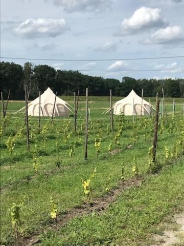 Natuur-Like Glamping In Bosland Pelt Exterior photo