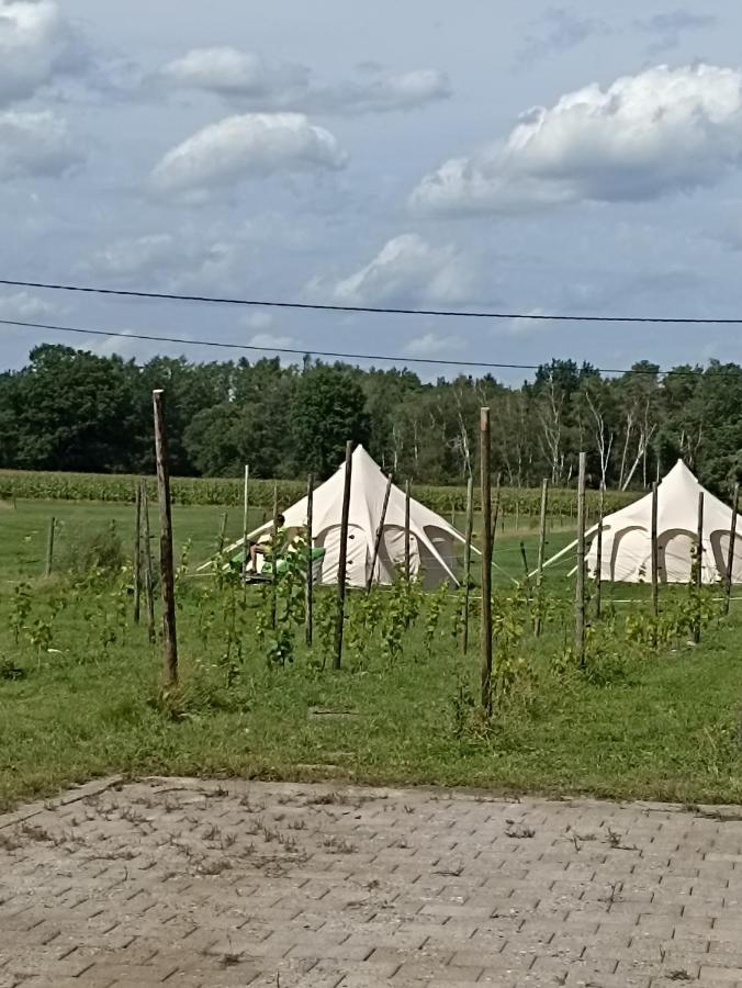 Natuur-Like Glamping In Bosland Pelt Exterior photo