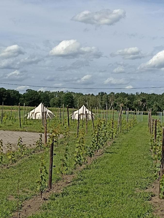 Natuur-Like Glamping In Bosland Pelt Exterior photo