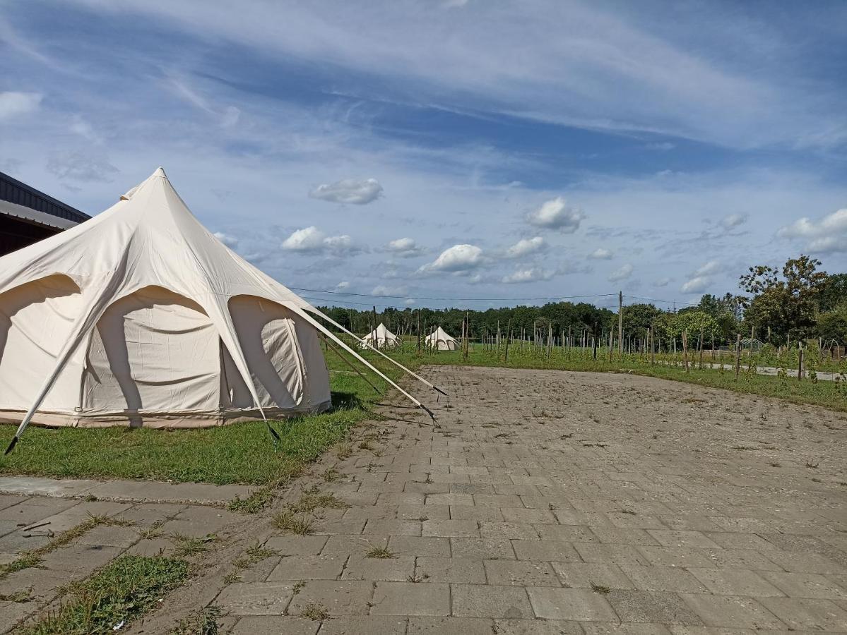 Natuur-Like Glamping In Bosland Pelt Exterior photo