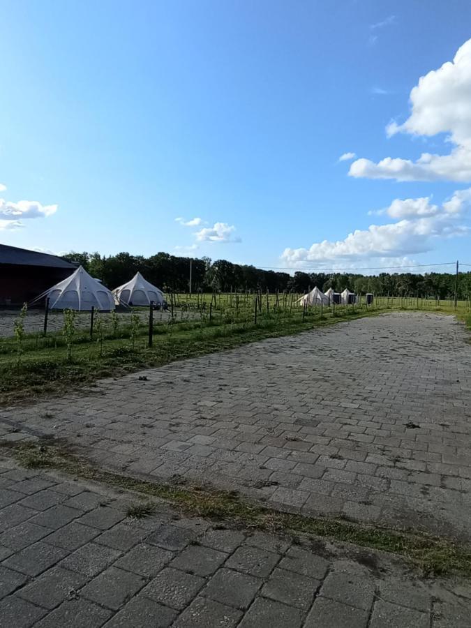 Natuur-Like Glamping In Bosland Pelt Exterior photo